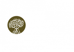 Mangrove House, Counsellors in Sydney