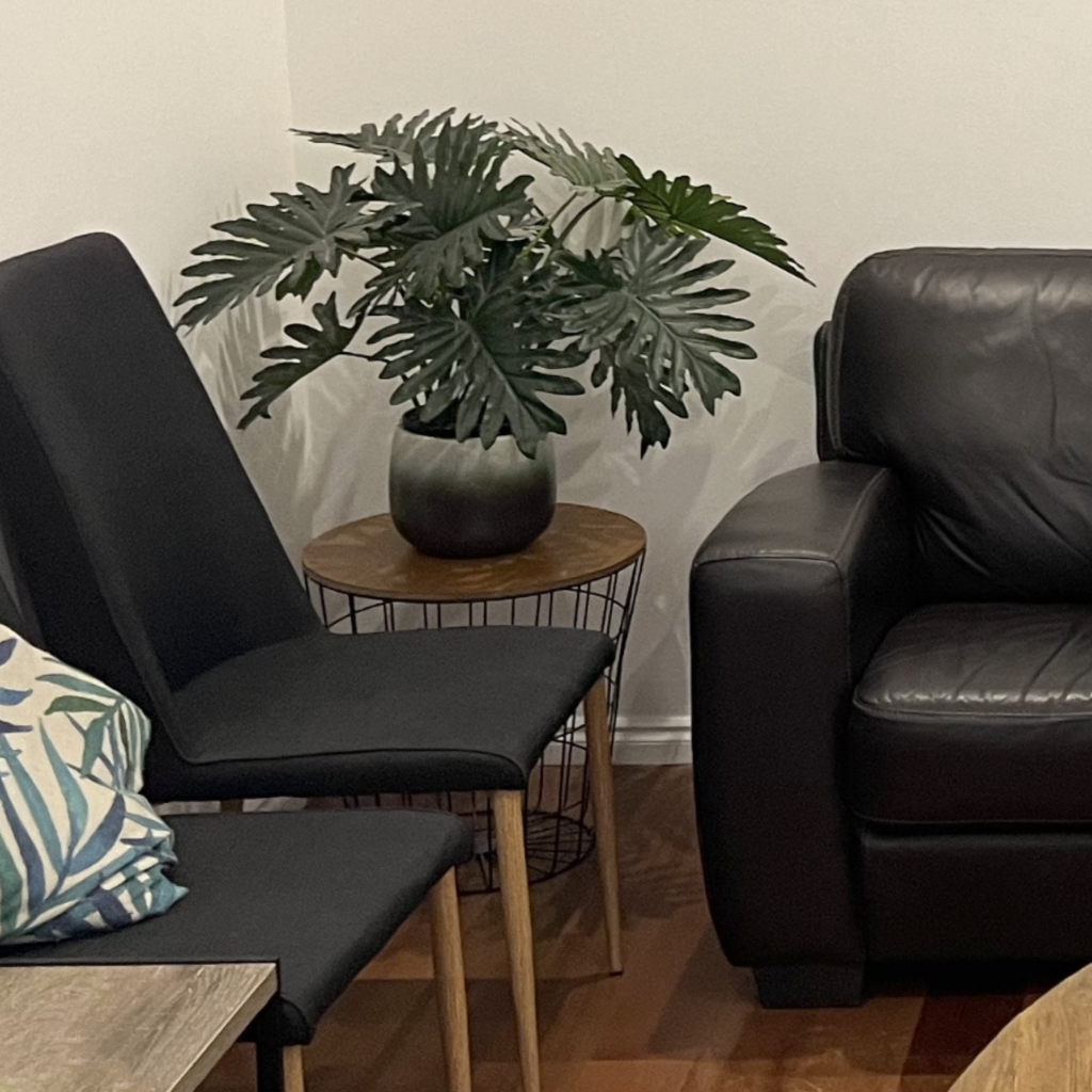 Comfortable Mangrove House waiting room in Annandale, Sydney
